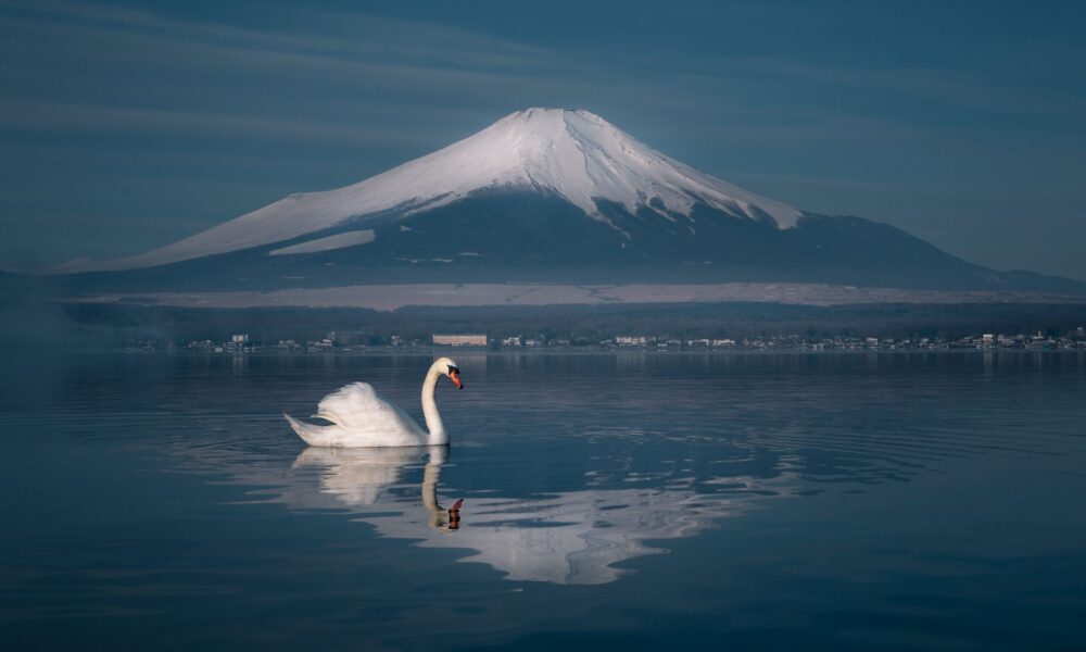 Japan pledges $10bn