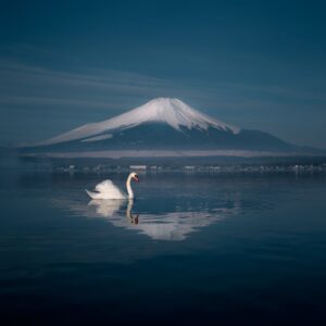 Japan pledges $10bn