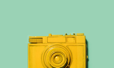 Digital cameras back in fashion after online revival