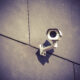 Power faults stop bus gate cameras