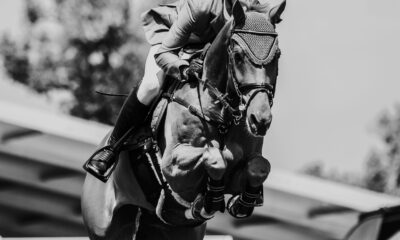 Soldier In Milan wins the Irish Grand National